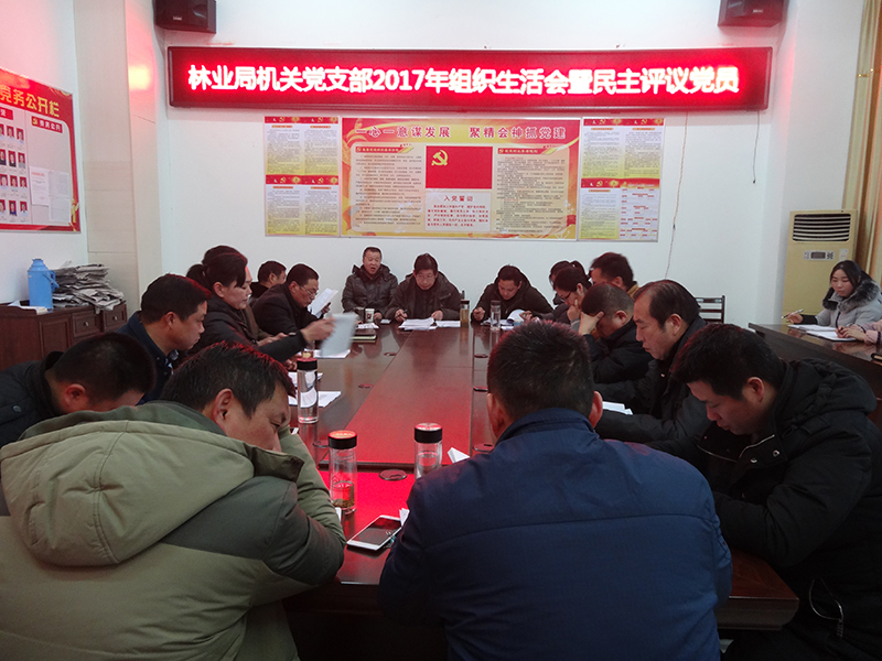 林业局机关支部组织生活会及民主评议党员.jpg