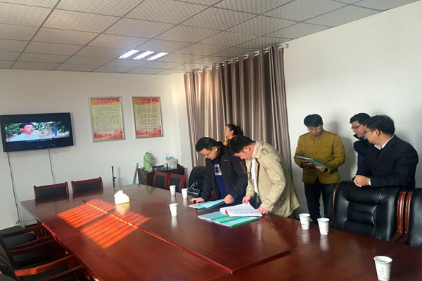 在板桥镇督查.jpg